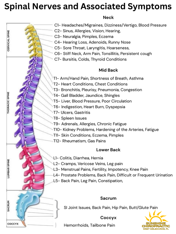 Chiropractic adjustment at Sunshine Chiropractic